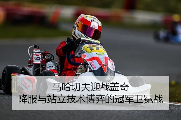 马哈切夫迎战盖奇 降服与站立技术博弈的冠军卫冕战